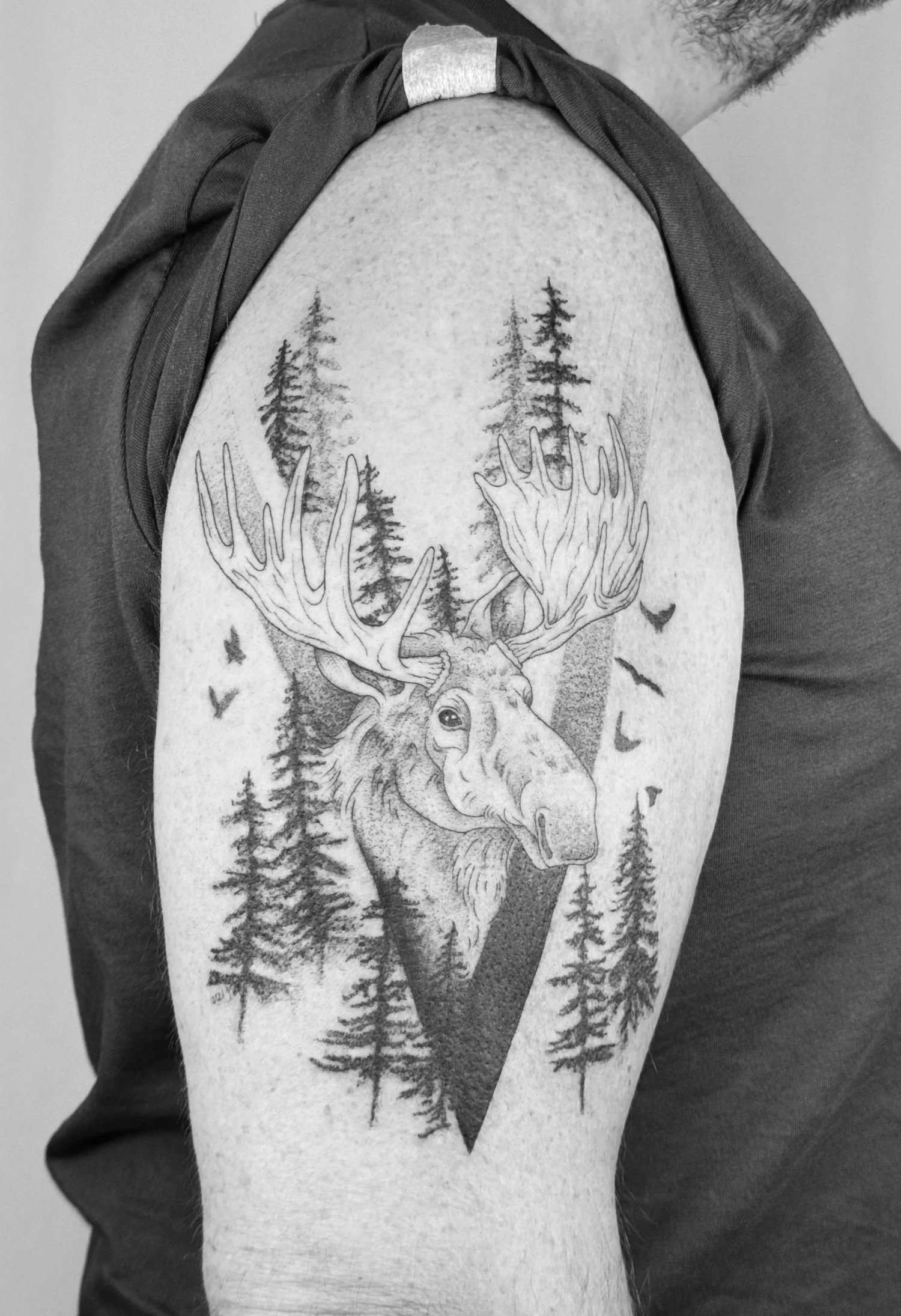 Tatovering av Vilde