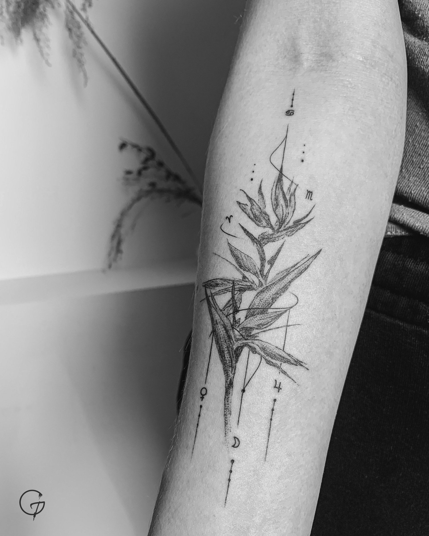 Tatovering av Tachi